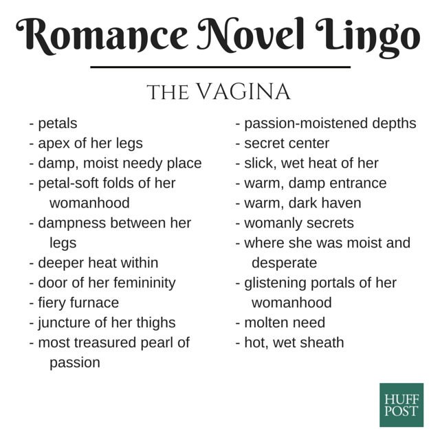RomanceNovel_vagina3 (1)
